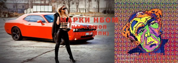 PSILOCYBIN Переславль-Залесский