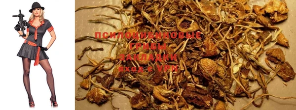 MDMA Пестово