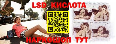 эйфоретик Гатчина