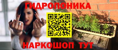 эйфоретик Гатчина