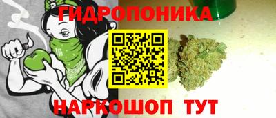 эйфоретик Гатчина