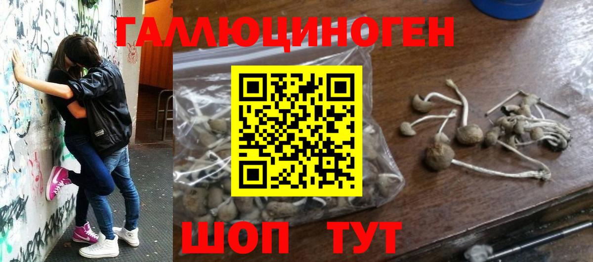 Грязи  Галлюциногенные грибы мухоморы  Псилоцибиновые грибы Psilocybe  Вход с VPN 