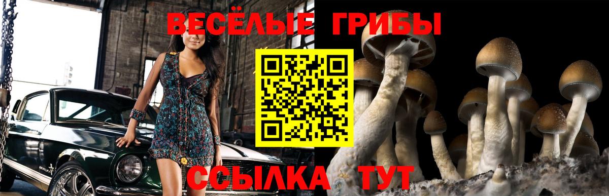 Галлюциногенные грибы ЛСД Грязи