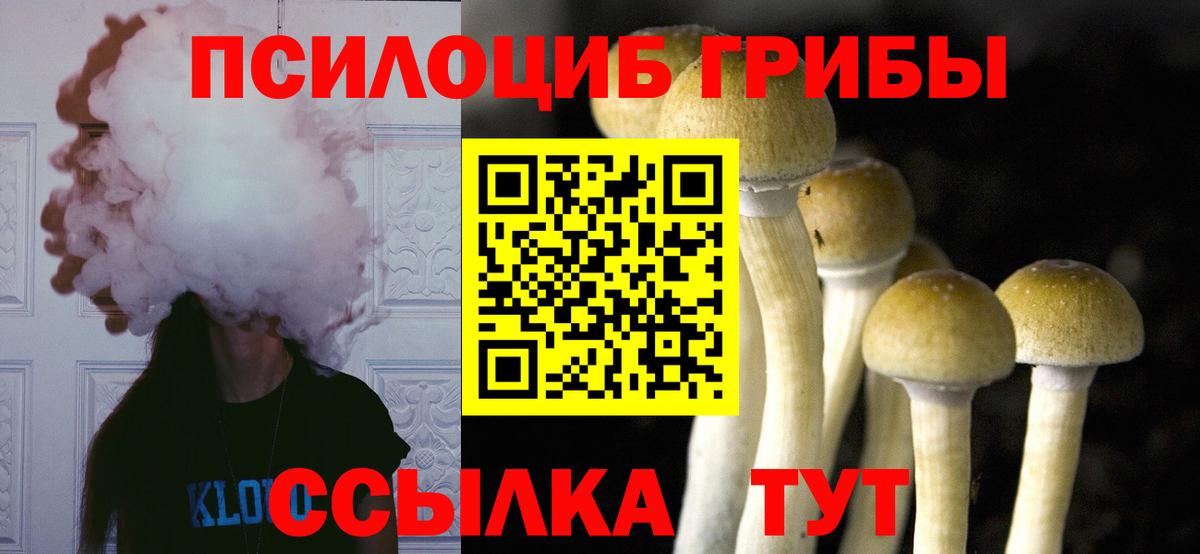 Галлюциногенные грибы прущие грибы  Грязи  Псилоцибиновые грибы Magic Shrooms 